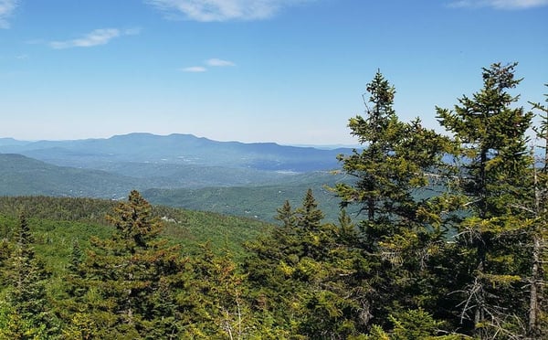 Camel's Hump Hike