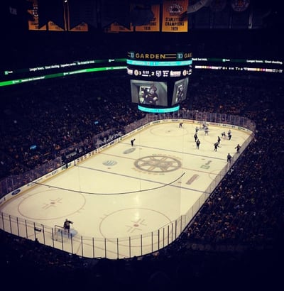 The Bruins - TD Garden